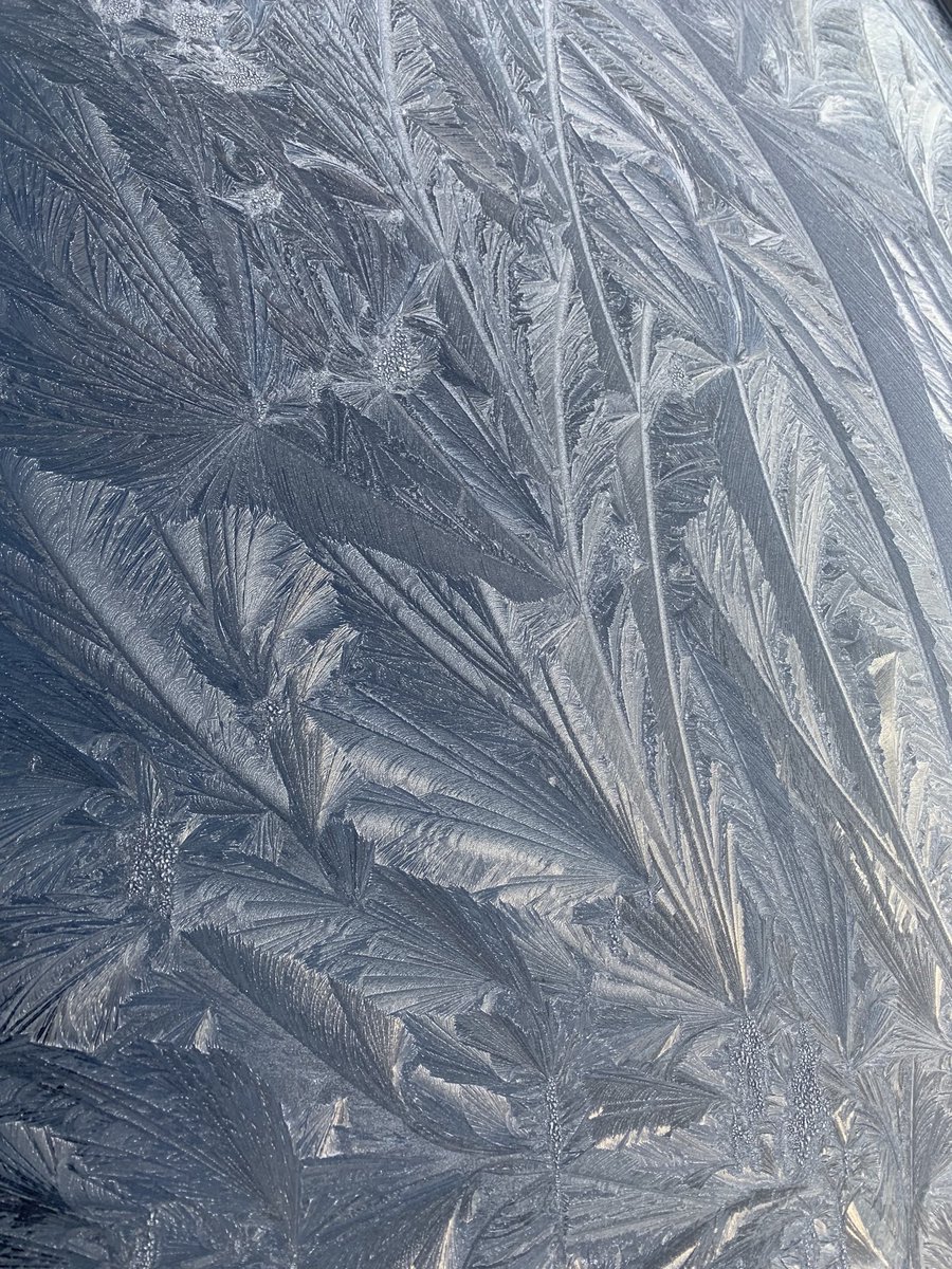 stevecurzon's tweet photo. Gets me every time! Nature’s wild eye for design. https://t.co/UMy2yKyITv