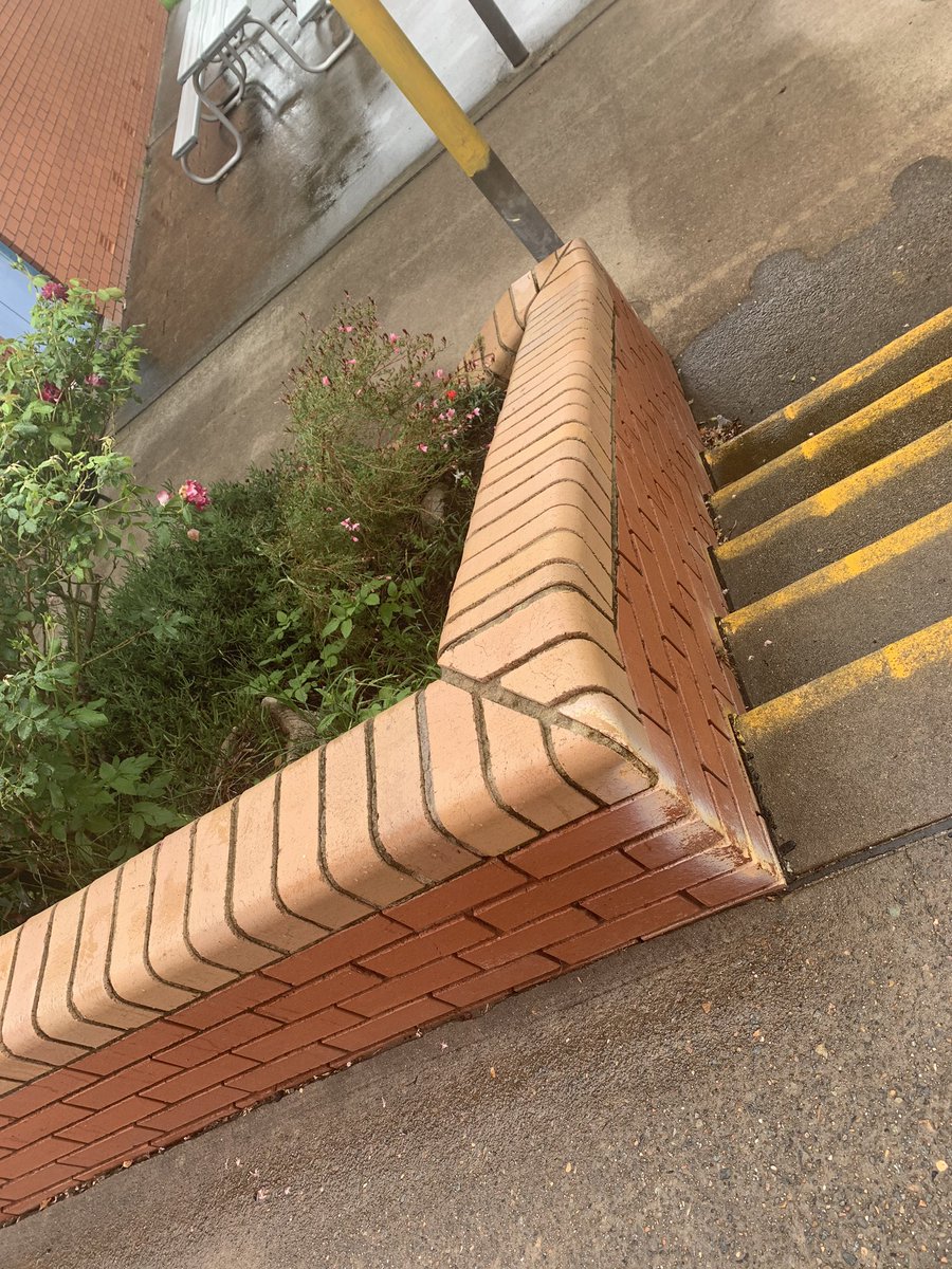 JessKB93's tweet photo. Day Six. What are the borders we can see on our walk? #k1p #shpps #walkingcurriculum #getoutside #30daychallenge https://t.co/5H8PZ8gOPC