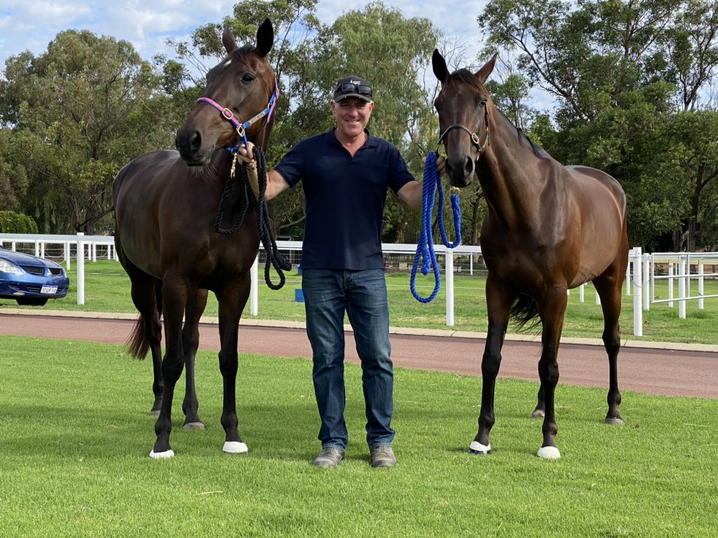 Sometimes you just have to have a crack! Sydney bound Galactic Star and Our Alfie Romeo #miraclemile #ladyship #dreams #neverfearfailure