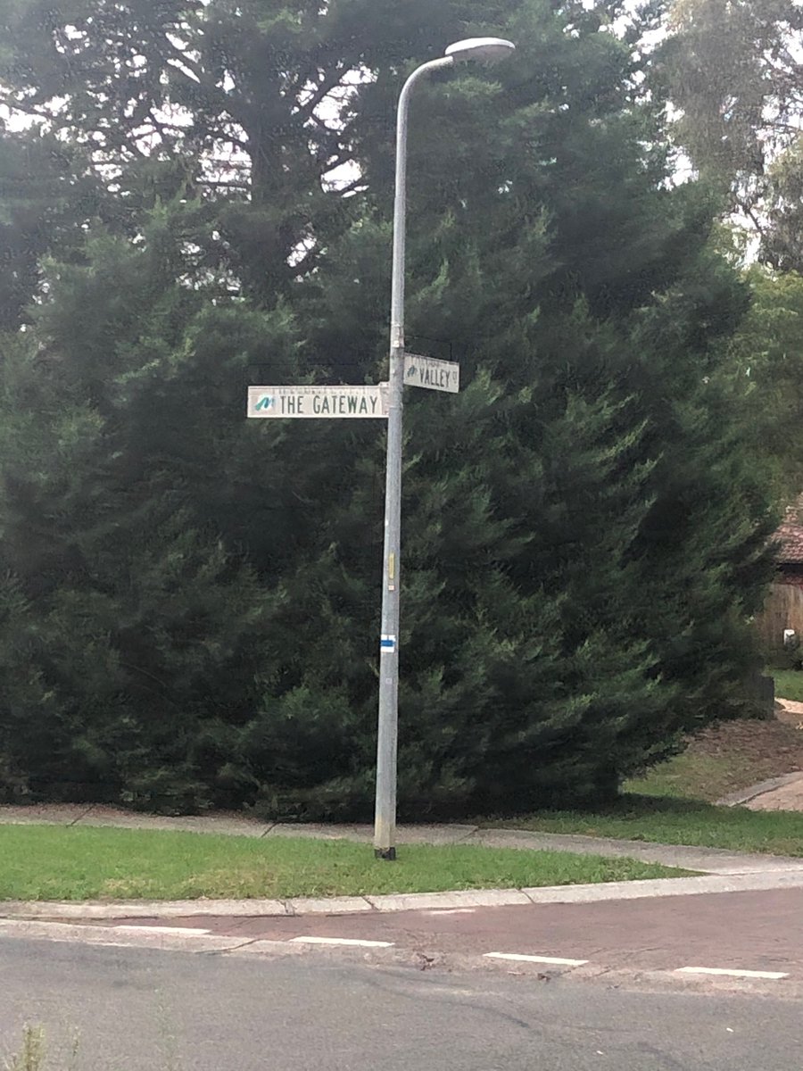 Matthew Drew tweet media