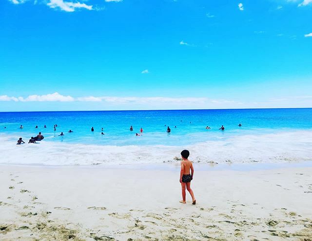 E poi ci sono quei giorni in cui senti una maledetta nostalgia di un posto: i colori, il vento, il profumo del mare, la totale assenza di ritmi e la sensazione di intenso benessere... Ah le Hawaii 😍🏝️ #hawaii #kauai #viaggiamondo #travelgram #thegood… ift.tt/2V3ZzZO