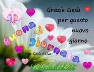 DGiuseppone's tweet photo. Buongiorno cuccioli di Dio.... Un nuovo giorno x Amare, aiutare qualcuno in difficoltà e volersi tanto bene. Felice giornata d'Amore 😘 Vi amo con tutto il mio cuore ❤ https://t.co/ztPJUaR111