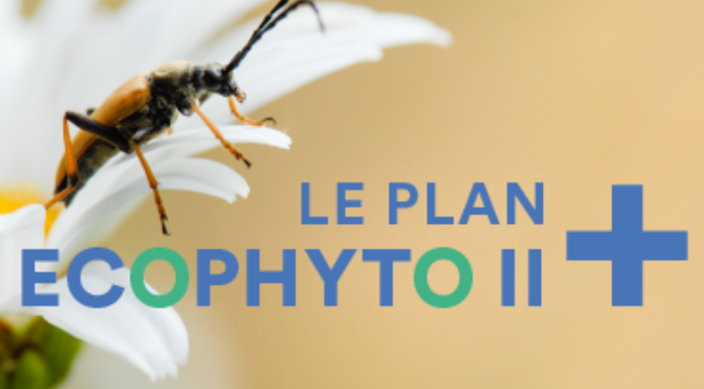 Le bilan 2019 des Réseaux Fermes Dephy et du groupe Euralis EVADE Fermes 30000 est satisfaisant. Les résultats sont en phase avec les objectifs fixés par #ecophytoII+ :  l'IFT total est en baisse de 32,28 % depuis 2012 et l'IFT chimique affiche -44 % depuis 2016. <a href="/lesillon_info/">Le Sillon.info</a>
