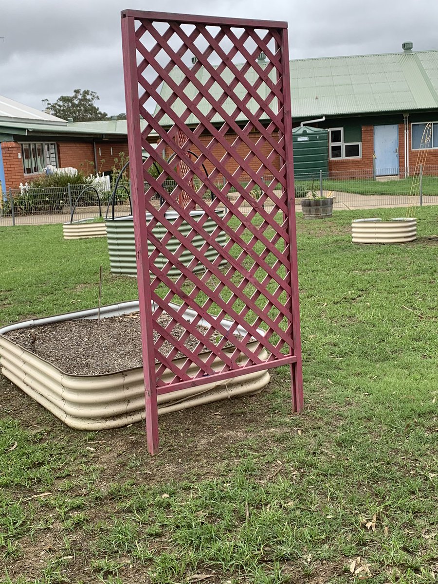 JessKB93's tweet photo. Day Seven. We discussed what vertical means and went out to find things that pulled our gaze upward and downward. #walkingcurriculum #k1p #shpps #getoutside #30daychallenge https://t.co/TZk4zCunz5