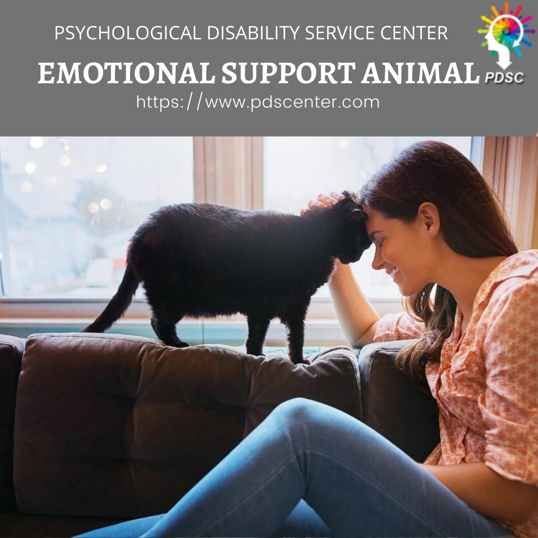 ESAcenter's tweet photo. If you or your loved one suffers from a mental illness, then ESA will really helpful to: provide social support, make patients feel more safe and comfortable, increase in being social, provide unconditional love.
#Emotionalsupportletter
#Serviceanimalletters
#ESAletter https://t.co/RJAgq3lpip