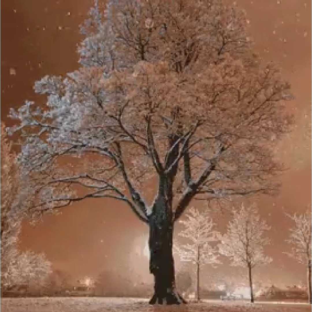 때
같은 바람이라도
여름에 불면
산들바람

겨울에 불면
칼바람,

말과 행동에도
적절한 "때" 가 있다...

「나를위한1분」중에서