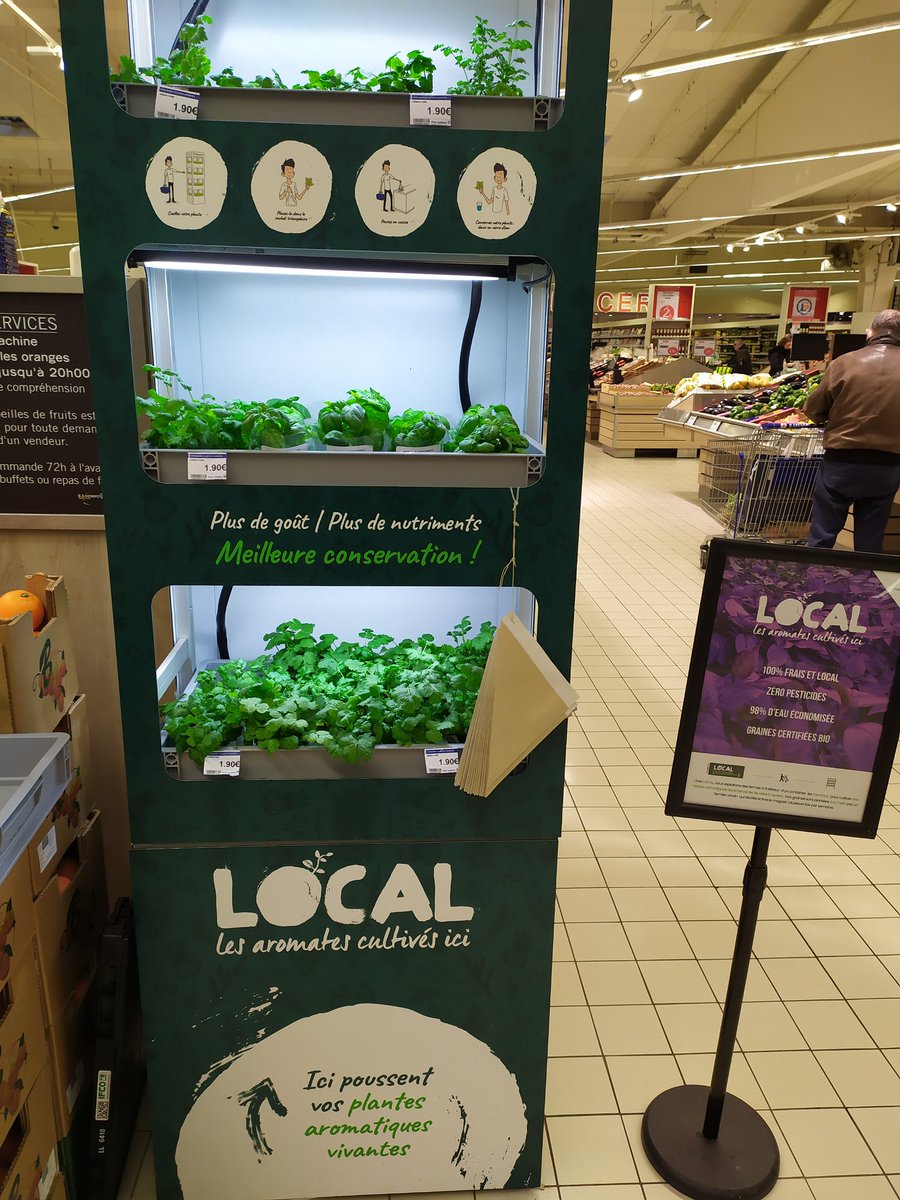 Lafarmbox's tweet photo. Venez cueillir vos bouquets d'aromates vivants au Rayon Fruits &amp; Légumes du Leclerc de St Grégoire☺ 

Coriandre et Basilic ultra-frais, ultra-local, qui ont été cultivés devant l'enseigne à 150 mètres du lieu de vente 😋
#zerotransport #zeropesticide #LeclercStGregoire https://t.co/0bJJ8iuIAM