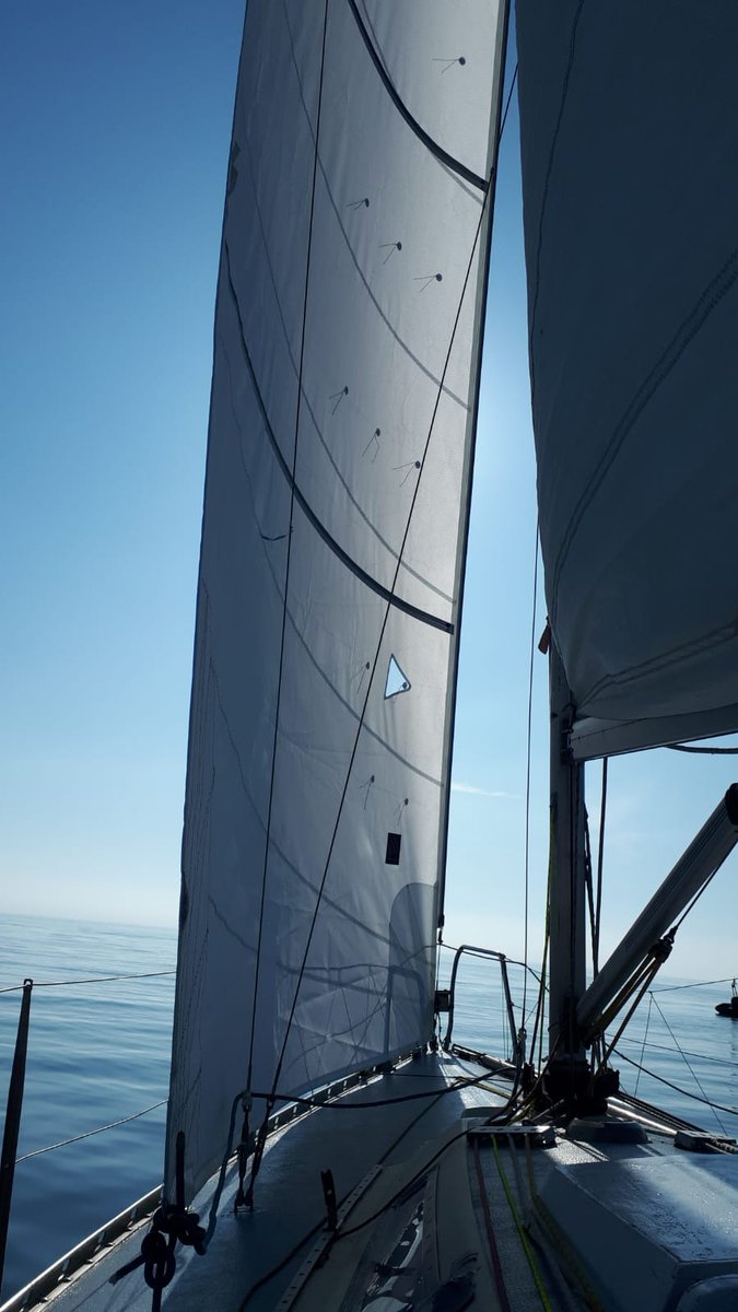 sailingsur's tweet photo. Nuevo Génova ligero para 27 pies, lazy bag para 50 pies y cambio de ventanas para capota antirociones... #sailingsur #sailmakers #sailoft #newsail #gennaker #gennakersailing #spinnaker #mainsail #sails #sailingschool #yatchrigging #madeinspain #sea #toptags #almería #Andalucia https://t.co/lrMTb72jgS