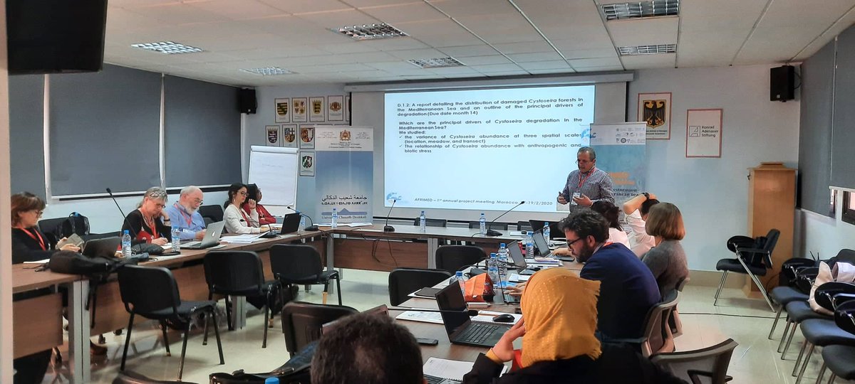 AFRIMED_eu tweet media