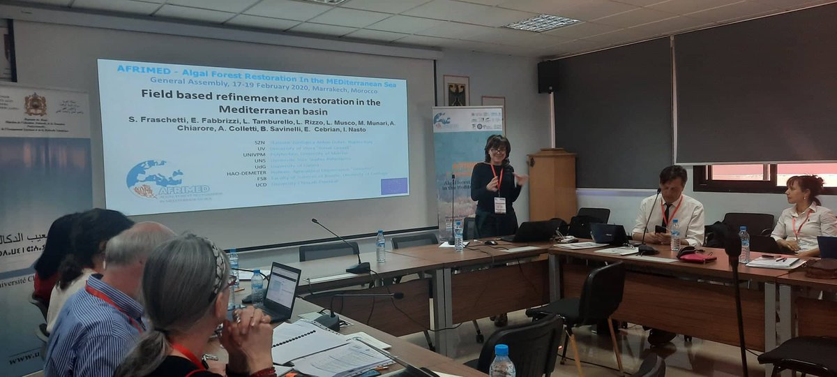 AFRIMED_eu tweet media