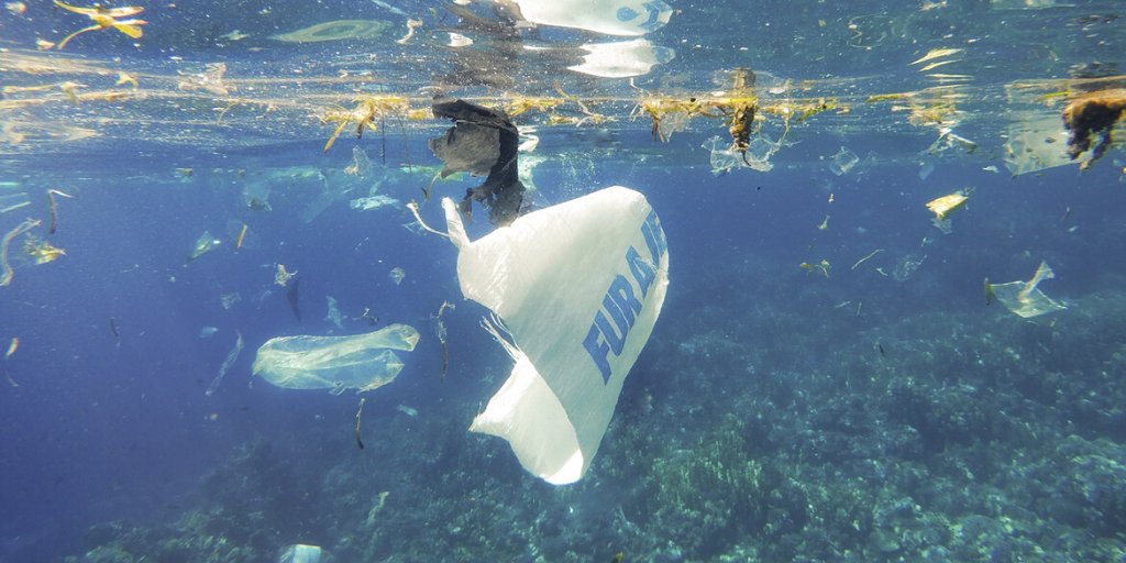 OneLessBTL's tweet image. The ocean supports all life on Earth.

Help us keep our ocean healthy and resilient by pledging to go #OneLess as an individual and encouraging your organisation to sign-up to the pioneer network 🐳

 👉onelessbottle.org/get_involved/