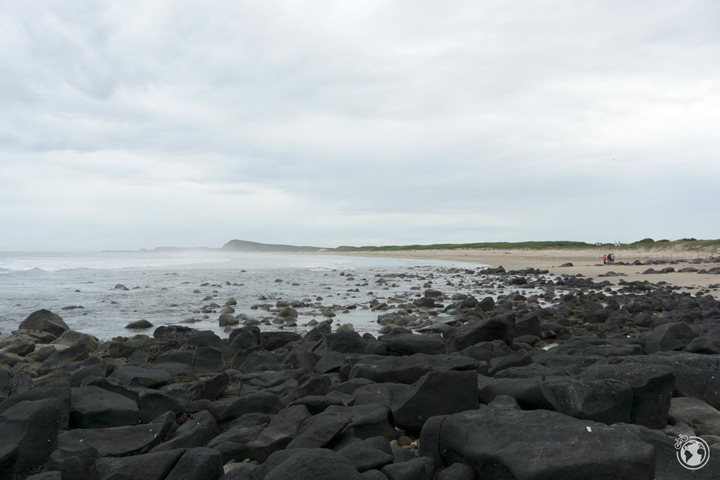 PedaleaMundo's tweet photo. Buscando mi dibujo favorito entre más de 700 grabados rupestres en la playa de las Labradas (Sinaloa). Un lugar mágico de cosmovisión prehispánica por el que perderse entre rocas. ¡Cuidado que resbalan! #Mexico #Sinaloa https://t.co/22xgkEOJd5