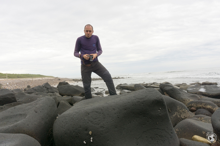 PedaleaMundo's tweet photo. Buscando mi dibujo favorito entre más de 700 grabados rupestres en la playa de las Labradas (Sinaloa). Un lugar mágico de cosmovisión prehispánica por el que perderse entre rocas. ¡Cuidado que resbalan! #Mexico #Sinaloa https://t.co/22xgkEOJd5