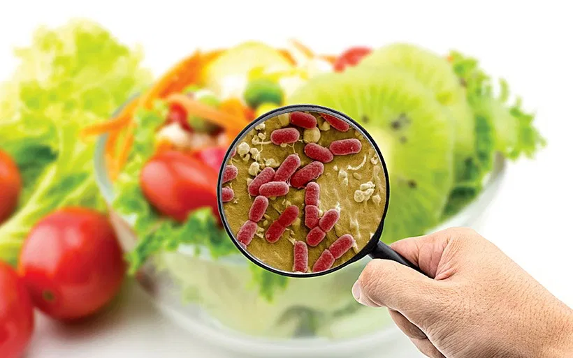 Заражение пищевых продуктов. Микробные продукты это. Микробы на продуктах. Микробные продукты это. Бактерии в продуктах питания.