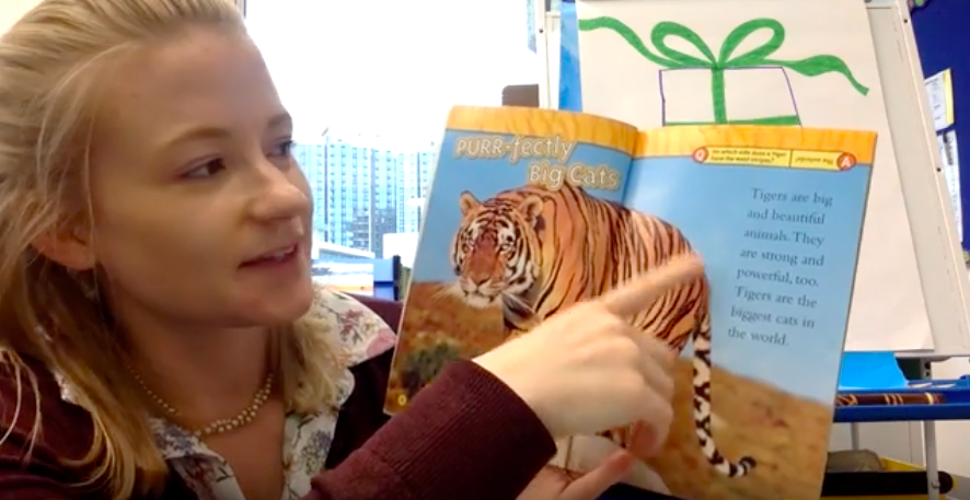 StamfordHK's tweet photo. Grade 2 students read along with Ms. Cherry as she shared a non-fiction book about Tigers through video.
#StamfordHK #onlineclass #nonfriction #reading #book #online #onlinelearning https://t.co/YBRisSytp1