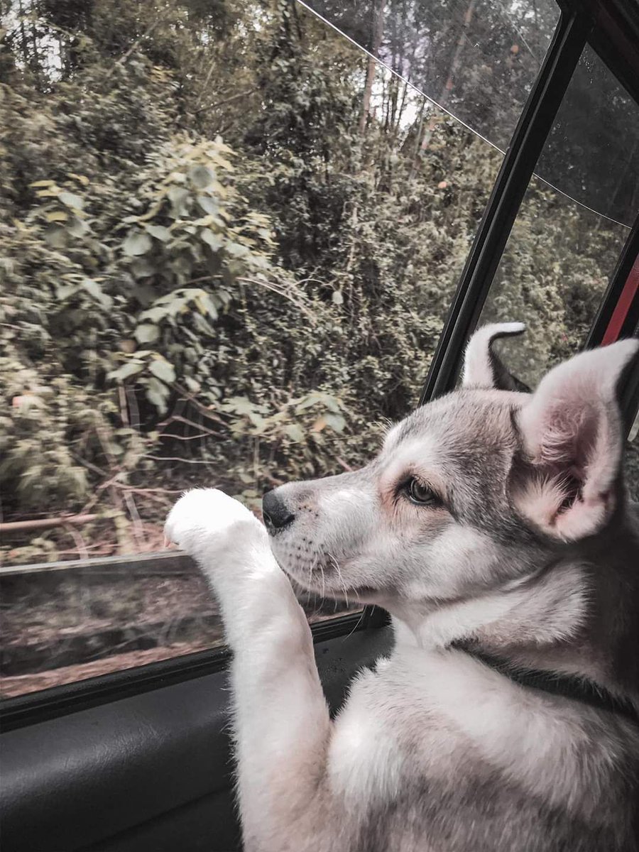 Wednesday means one thing.... TOUCH TIME! 
SSP Top Astro
19.45 - 21.00
2 pitches, 1 social &amp; 1 competitive.

First three sessions are free so why not get down and join us for some fun and fitness!