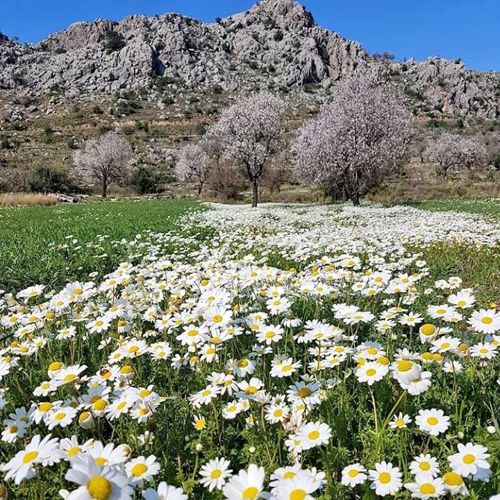 #Cemre bu sefer insanlığa düşsün!Ne toprağa,ne suya,nede havaya.Sadece İNSANLIĞA!!😌