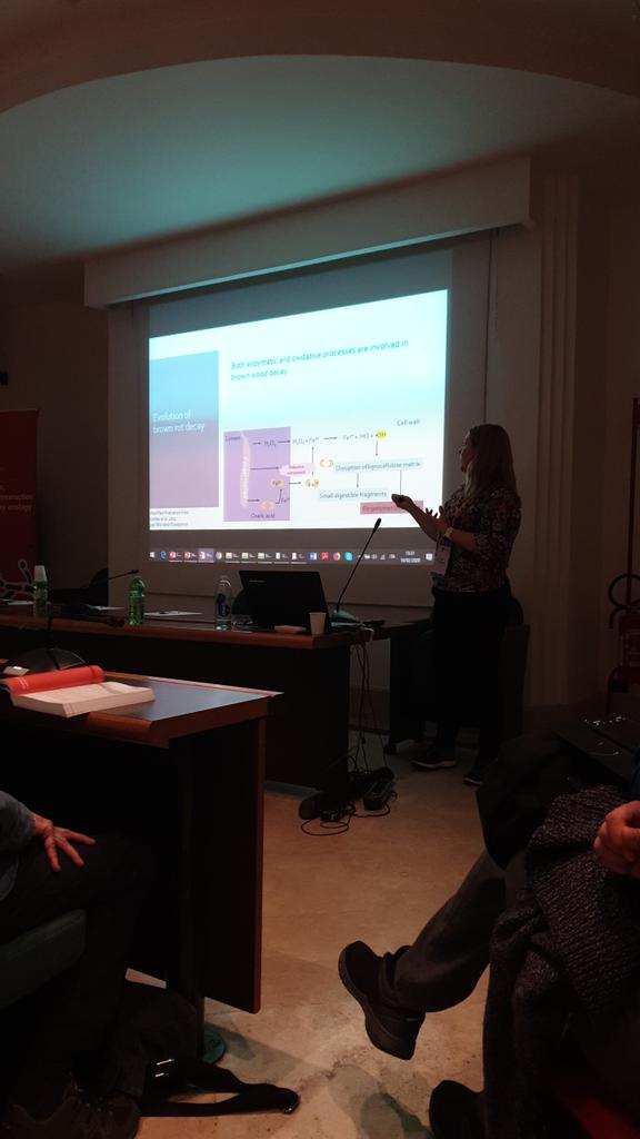 DPerisN's tweet photo. Talk by @IngerSkrede from @unioslo_mn about Serpula lacrymans at #ECFG15 https://t.co/YvQVOQxSHC