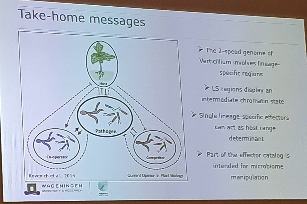 KanjaClaire's tweet photo. Effectors have a lot of jobs. Even controlling the microbiome of their hosts to aid colonisation @Team_Thomma #ECFG15 https://t.co/LCCnHF8D23