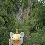 ツイートに含まれる画像