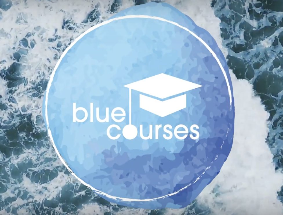 GrandataLabs's tweet photo. 📢 New courses available!

On the #BlueCourses learning platform launched by our scientific partner @BartBaesens 

🌊 Learn from top professors and contribute to clean up our oceans

https://t.co/Qv1r2MPJJc https://t.co/6YVMJIWTBA