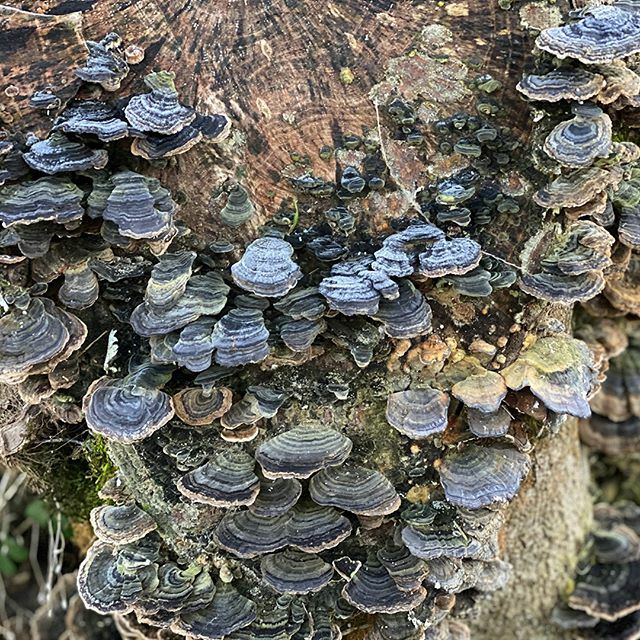 "In Natura tutto parla, nonostante il suo apparente silenzio" (Hazrat Inayat Khan)⁠
⁠
"Everything in life is speaking in spite of its apparent silence"⁠
(Hazrat Inayat Khan)⁠
⁠
Ph: <a href="/danielemarucci/">Daniele Marucci</a> ift.tt/39Il3ze