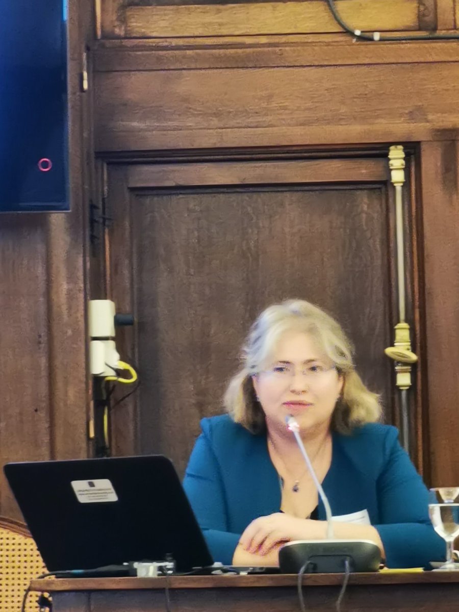 simra_eu's tweet photo. Katalin Somody (Social Innovation Team Leader, DG Employment, Social Affairs and Inclusion, @EU_Commission) explains the #socialinnovation in the context of social Europe at #SIMRAFC https://t.co/WqoovaKdDe