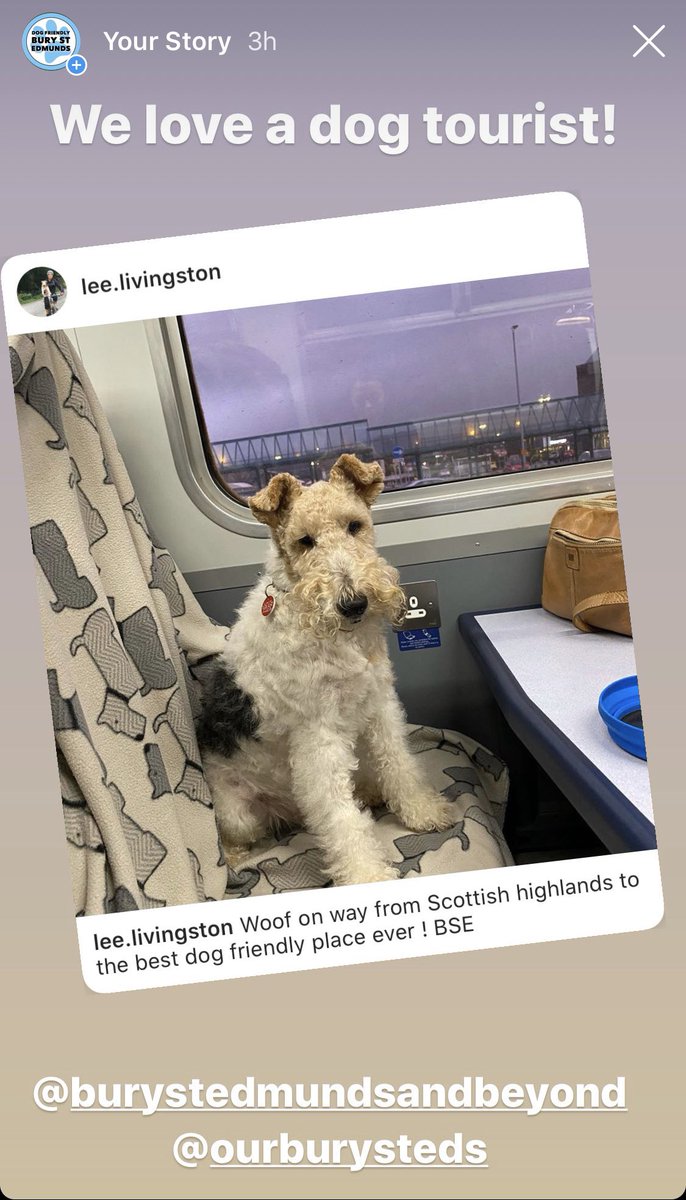 Could this be our furthest <a href="/Dogfriendlybse/">DogFriendlyBSE</a> visitor?! <a href="/BuryStEdBeyond/">BuryStEdmunds&Beyond 👑 🐺</a> 
<a href="/camptailsbse/">Jon - Camp Tails</a> <a href="/Mike_ourbseBID/">Michael Kirkham</a> #dogfriendlybse #burystedmunds