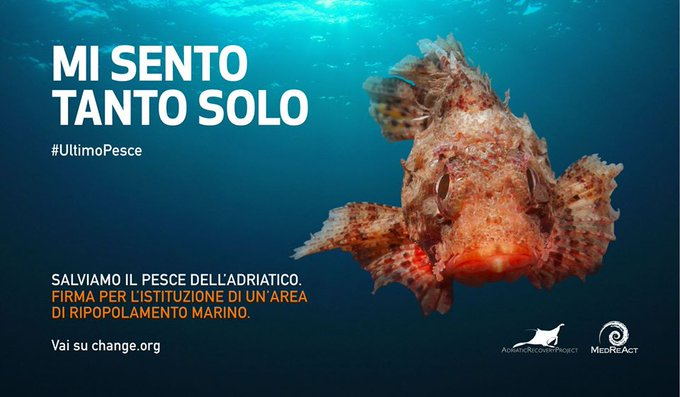 Ministro <a href="/TeresaBellanova/">Teresa Bellanova</a>, dobbiamo salvare i pesci che popolano il Mare Adriatico e istituire un'area di ripopolamento marino nel canale di Otranto. Altrimenti resterà solo un #UltimoPesce

Qui la petizione chng.it/WphdgG4q