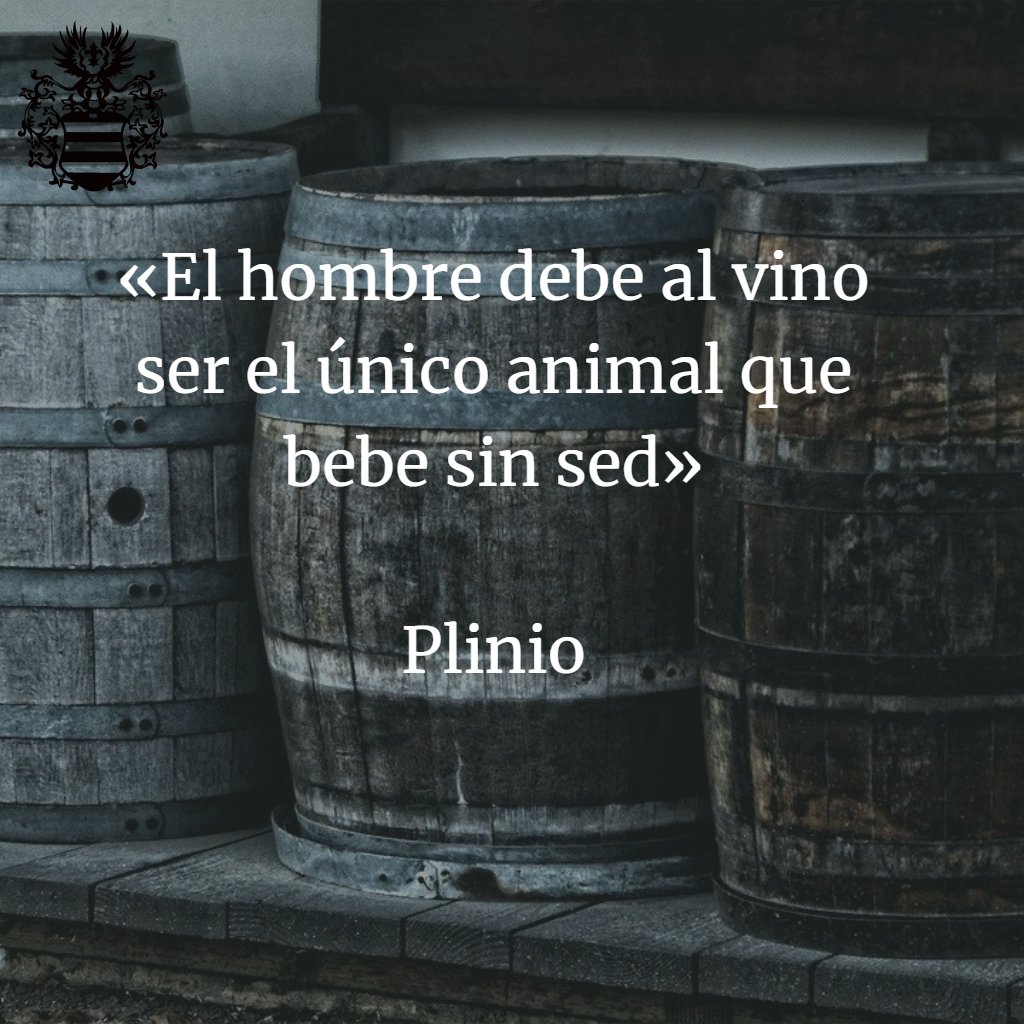 Delea A Marca tweet media