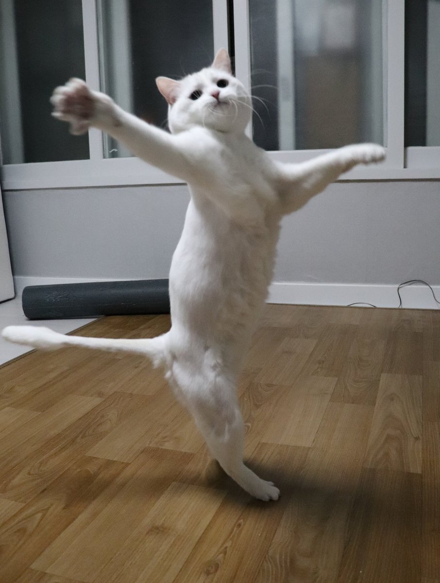 이 춤의 제목을 지어주세요