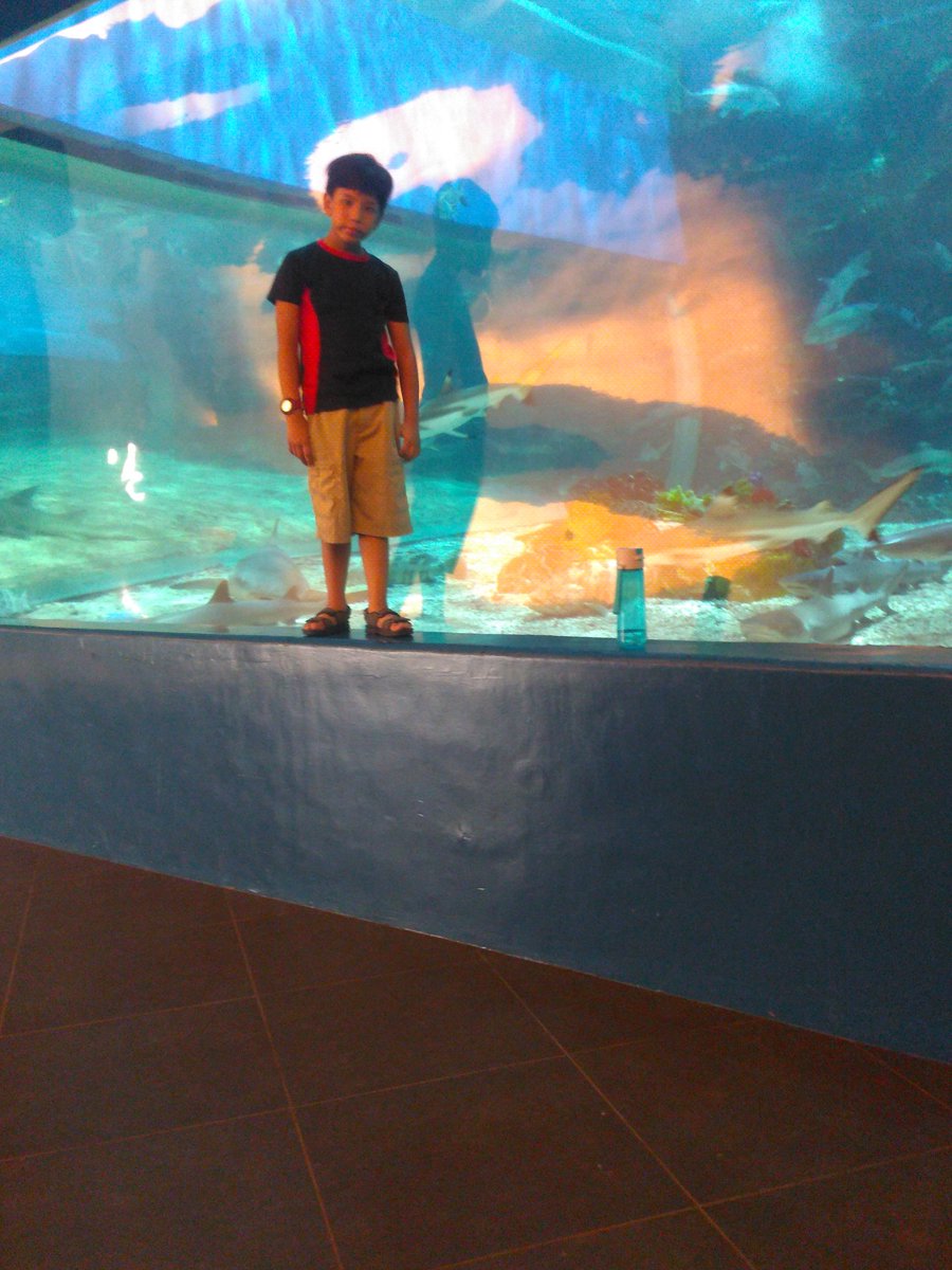 MjLasam's tweet photo. Ocean park https://t.co/b5KzWjWhlM