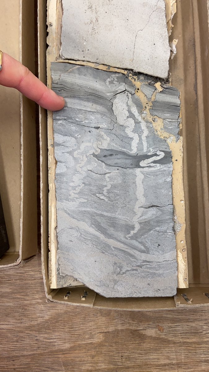 Zoë Cumberpatch tweet media