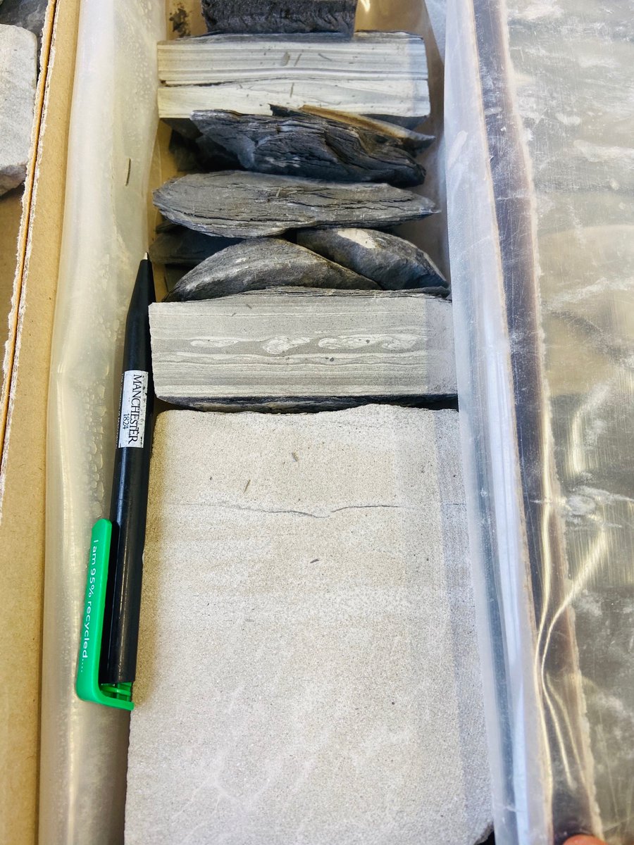 Zoë Cumberpatch tweet media