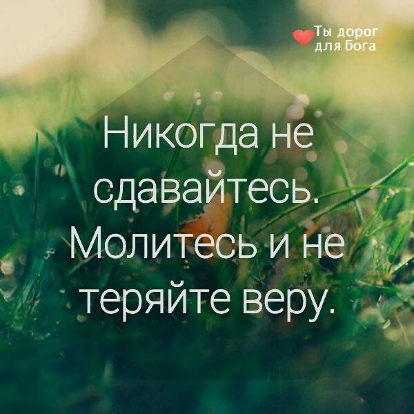 al_oganov's tweet photo. #казань https://t.co/vlA6HKIPUj