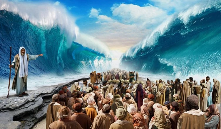 CAMEsosVOS tweet media