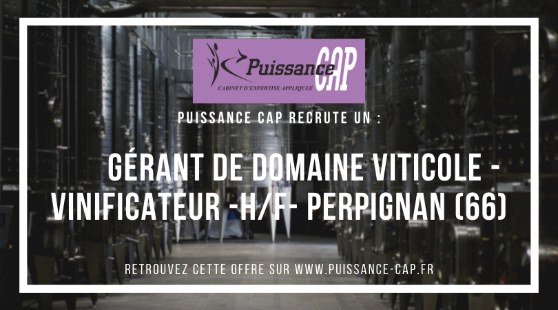 PuissanceCap_RH's tweet photo. Nous recrutons un Gérant de Domaine Viticole – Vinificateur (H/F) en CDI basé au Nord de Perpignan (66). Plus d'infos : https://t.co/kHnkWDAQZY https://t.co/3PJUSUBzCa