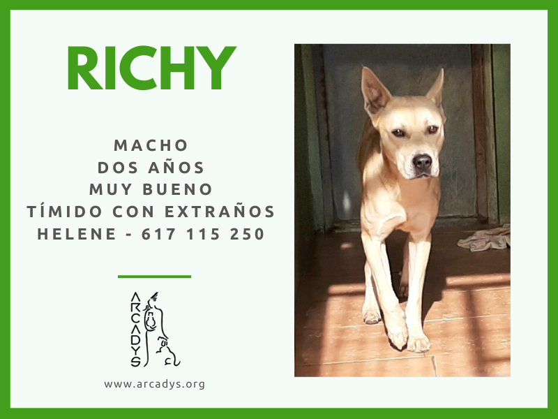 ¡¡Hogar para Richy!! - arcadys.org/hogar-para-ric…