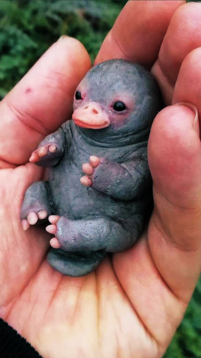 Just found this in my belly button...