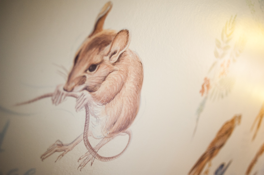 The animals in the #Wildlife bathroom are already looking forward to spring buff.ly/2SeSjX1
#exclusiveuse #castlelochness #luxurytravel #holidaylochness