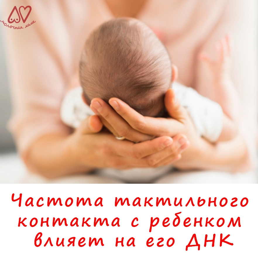 Новое исследование показывает, что количество прикосновений может оставить длительные и измеримые эффекты. Это влияние доходит вплоть до молекулярного уровня ДНК.

Ученые из Университета Британской Колумбии и научно-исследовательского института детской… milkmama.info/info/538/