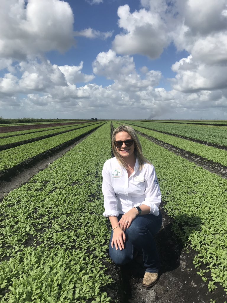 FLvegqueen's tweet image. beLEAF in the American Farmer! Touring a baby arugula and baby spinach field today. #puns #freshfromflorida #ffva #agriculture.