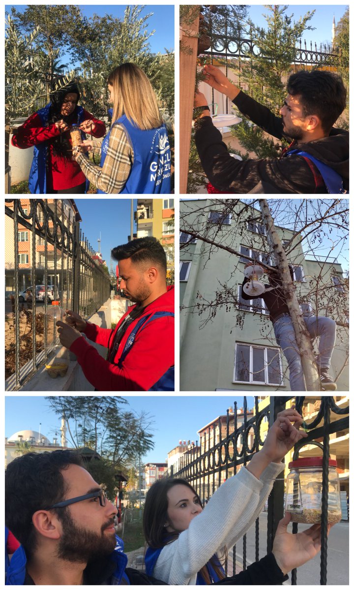 #GönüllülükKulübü #SevgiVeMerhametTimi 🤗🐦🧡Doğada ki kuşlara;
değil evler, köşkler yapan bir ecdadın torunlarıyız biz. 
Sadece insanlara değil tüm varlıklara değer veren bir milletin fertleriyiz. 
Kuş kardeşler.Karnınız açıktığında bize uğramayı unutmayın.😉
#GönüllülükYılı