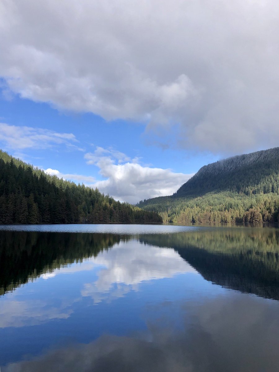 Views from Day 3 of the UBC dissertation writing retreat at Loon Lake. It’s better than I could have imagined! Thanks to @MichelleLStack and @MrsKieraBB for leading and to @lertitia for organizing!