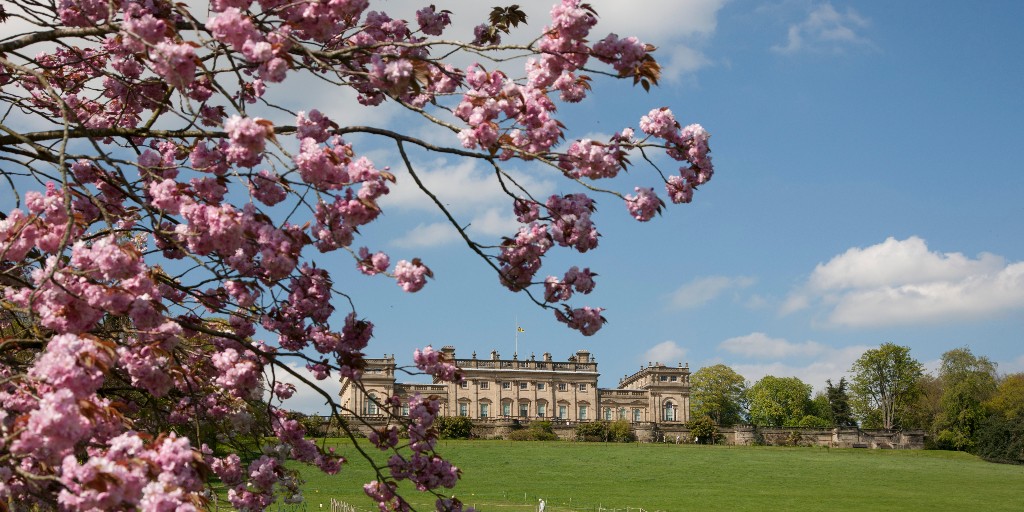 Harewood House Trust tweet media