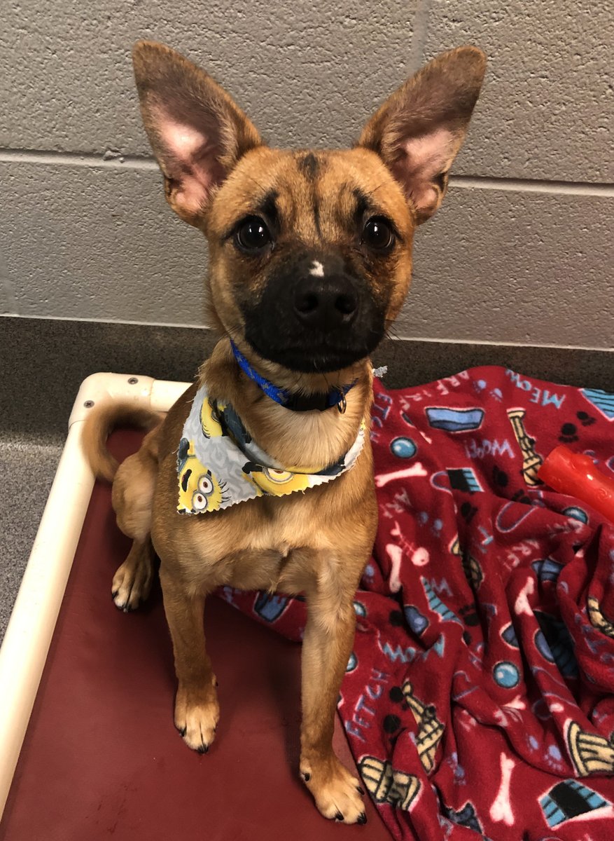 We tried to find a photo where Chip's face didn't look like he just watched you eat an entire bowl of ice cream by yourself, but we couldn't find one.

That's just little Chip's resting "I'm concerned for you" face.