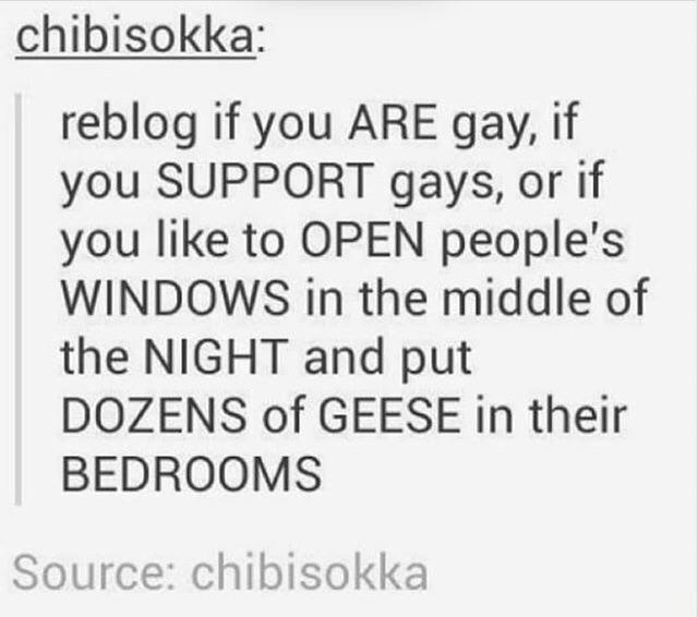 excesstigress's tweet image. 