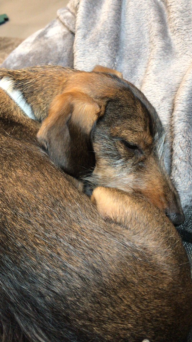 Calvin’s Craft tweet media