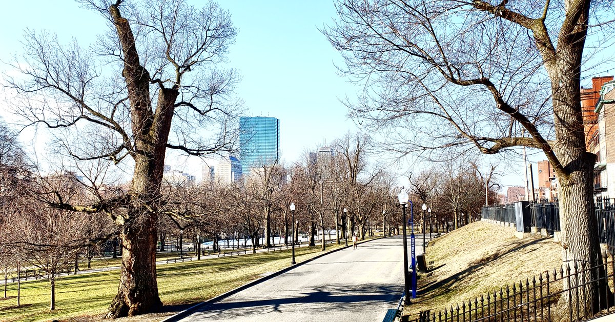 Boston in February.

❤️