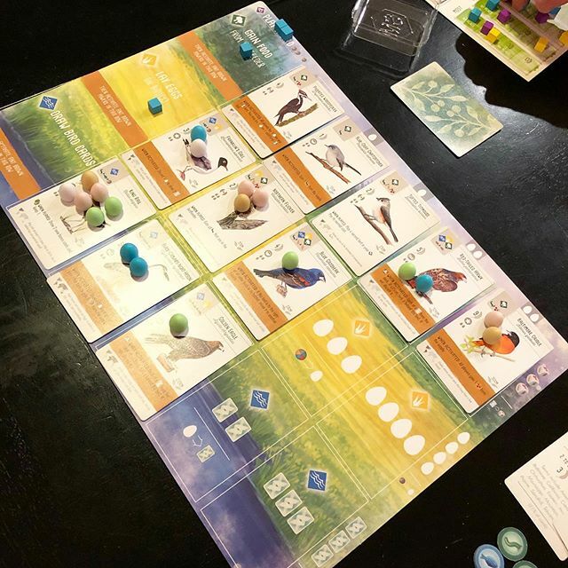 ConfluenceGames's tweet photo. Wingspan continues to be fun, competitive, and a lot of game in not a ton of time.  Really enjoy this game every time! https://t.co/CvFoTbUuC8 https://t.co/4zu4i0Odg4